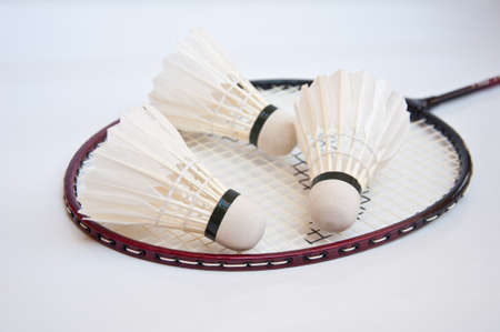 shuttlecock on racket