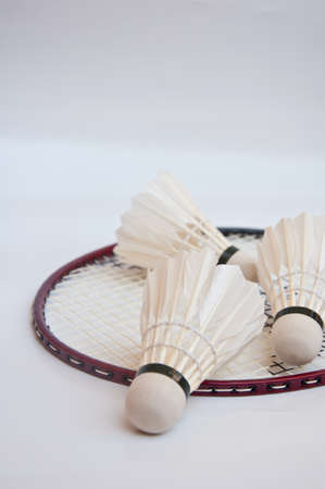 shuttlecock on racketの写真素材
