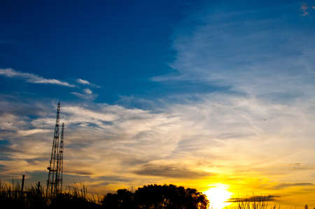 silhouette of grass and sundownの写真素材