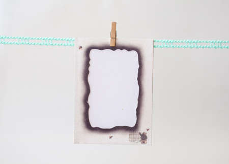 white blank hang paper