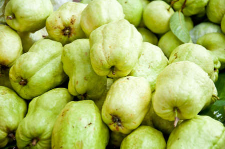 fresh green guava sell from marketの写真素材