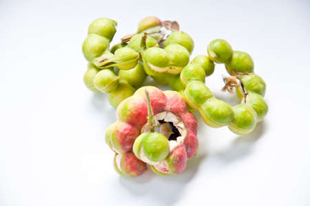 manila tamarind tropical fruit