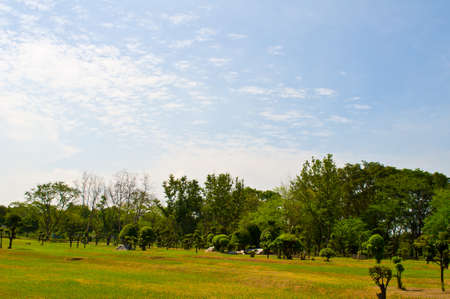 blue sky and beautiful gardenの写真素材