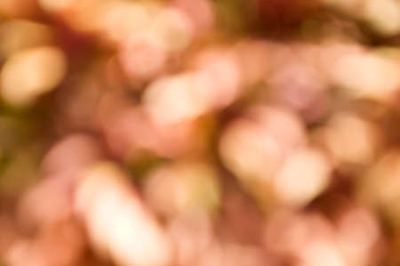 defocus of violet light backgroundの写真素材