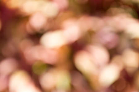 defocus of violet light backgroundの写真素材