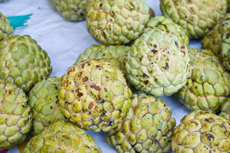 custard apple for healthy tropical fruitの写真素材