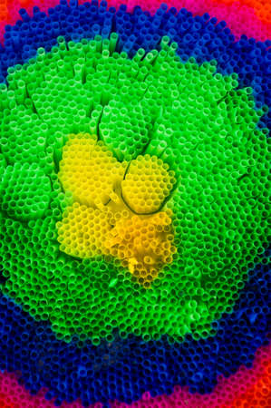 colorful of plastic tube backgroundの写真素材