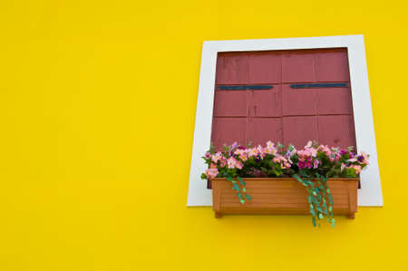 colorful of artificial flower for window decoration on yellow の写真素材