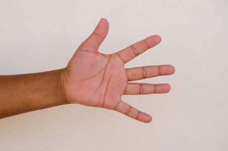 children hand on white backgroundの写真素材