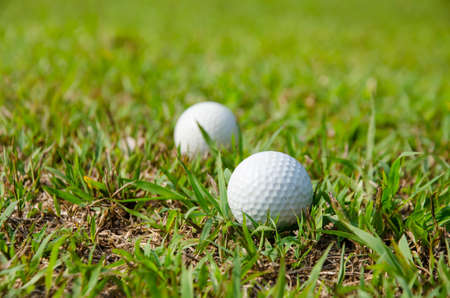old golf ball on green for playの写真素材