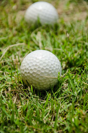 white golf ball on   grassの写真素材