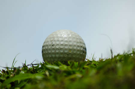 white golf ball on   grassの写真素材