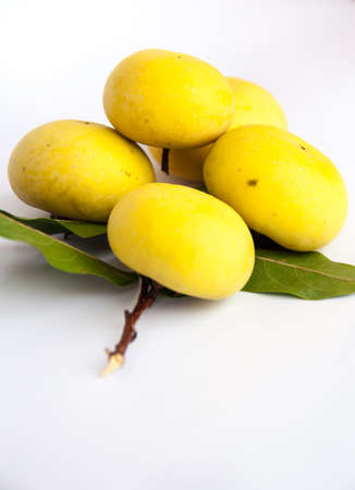 gold apple fruit on white background