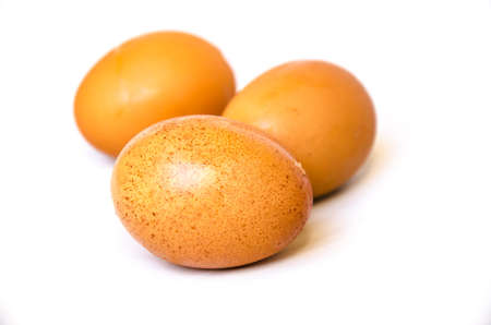 brown chicken egg on white background