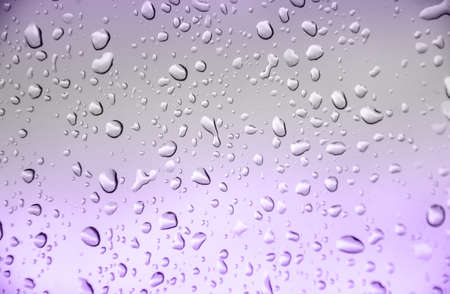 abstract  violet  color background with drop waterの写真素材
