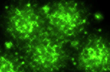 abstract green  smoke texture background