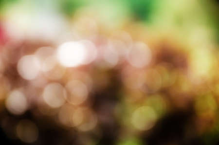 Defocus of multi color backgroundの写真素材