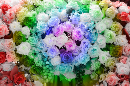 abstract colorful of rose for template backgroundの写真素材