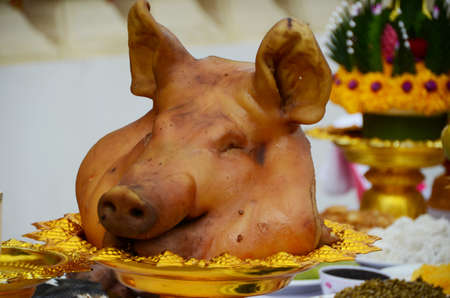boiled head pig for sacrifice with Chinese tradition
