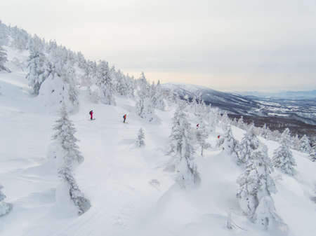 skiing on  snow monster hill northeast of Japanの写真素材