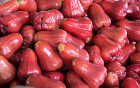 red rose apple for healthy fruit backgroundの写真素材