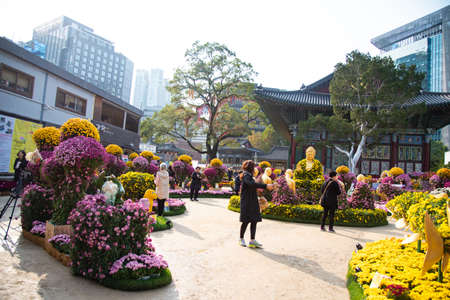 Seoul Korea 2018-23-october unidentified tourist travel in Jogyesa  temple famous place for travel  in Korea in 2018-23-october, Seoul Koreaのeditorial素材