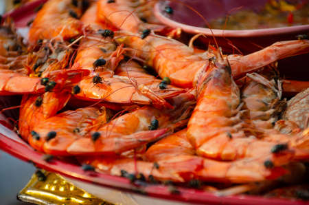 fly on food carrier food poinsoning and diseaseの写真素材