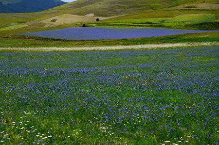 The colors of the natureの写真素材