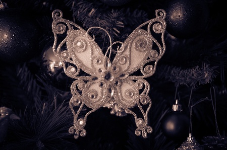 Big butterfly on the treeの写真素材