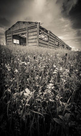 Old farm in the umbria villageの写真素材