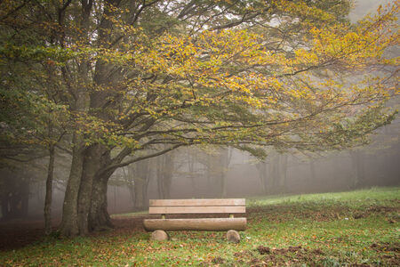 Mountain trail in autumnの写真素材