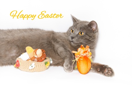 Happy easter card with cat, egg, and basket