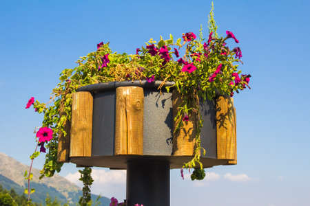 Photo of summer flowers decorationの写真素材