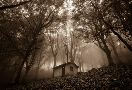 Dark landscape with ghost house in the forest. Photo take by low key.の写真素材