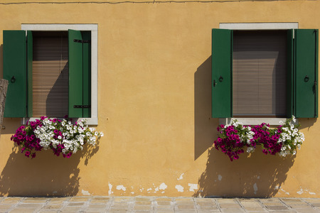 Two windows with vase of flowersの写真素材