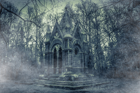 Enchanted view of monumental wood of Sasseto - Torre Alfina (Acquapendente, Italy) with fogの写真素材