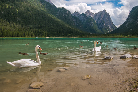 Lake Dobbiaco in the Dolomites, Beautiful Nature Italy natural landscape Alpsの写真素材