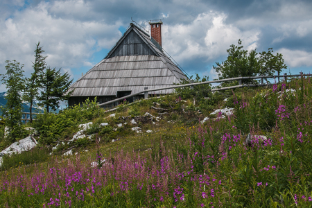 VELIKA PLANINA, SLOVENIA - JULY 16, 2019: Traditional wooden house with wild flowers in Velika Planina alpine village, Sloveniaのeditorial素材