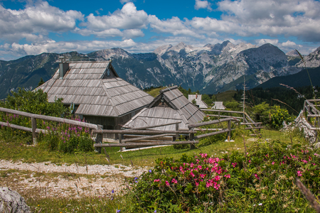 VELIKA PLANINA, SLOVENIA - JULY 16, 2019: Summer view of Velika Planina rural village with wild flowers in Sloveniaのeditorial素材