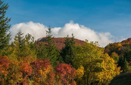 Autumn colors in the famous Prati, Abruzzo