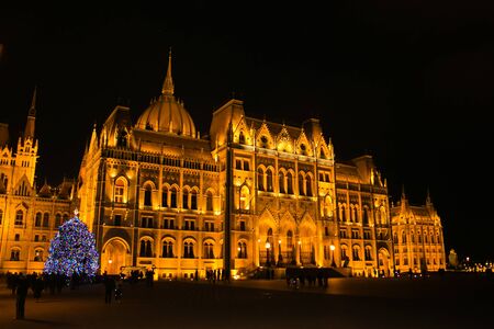 Beautiful view of parliament building at night with blue christmas treeのeditorial素材