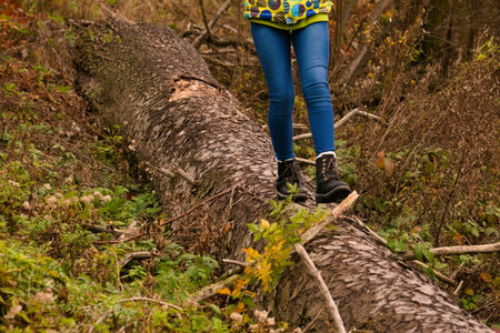 Walking on fallen tree trunk in autumn forest with black bootsの写真素材