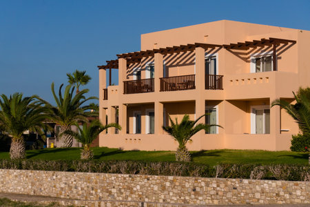 Tropical palm trees near modern architecture under blue skyの写真素材