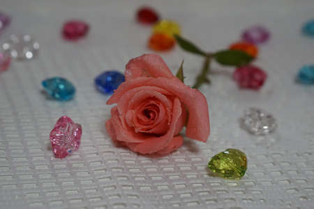 rose with star crystalの写真素材