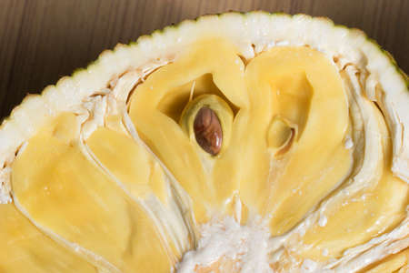 Jackfruit tropical fruit in Thailand.の写真素材