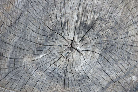 Old Wood Texture for Background.