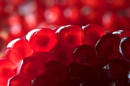 Red Pomegranate seeds.の写真素材