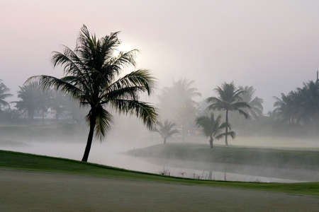 Golf course with foggy in the morning.の写真素材