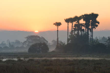 Sunrise on the rice paddy field in Asia.の写真素材