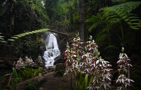 Siriphum Waterfall at Inthanon National Park in Chiang Mai, Thailand.の写真素材